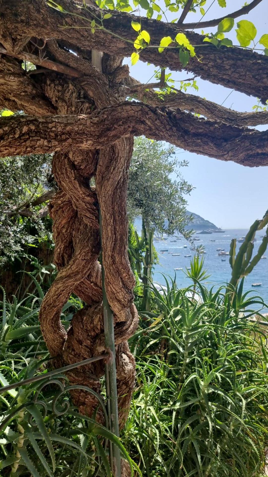 La Dolce Vita A Positano Boutique Hotel エクステリア 写真